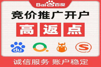 百度推广在电商行业的应用案例分析